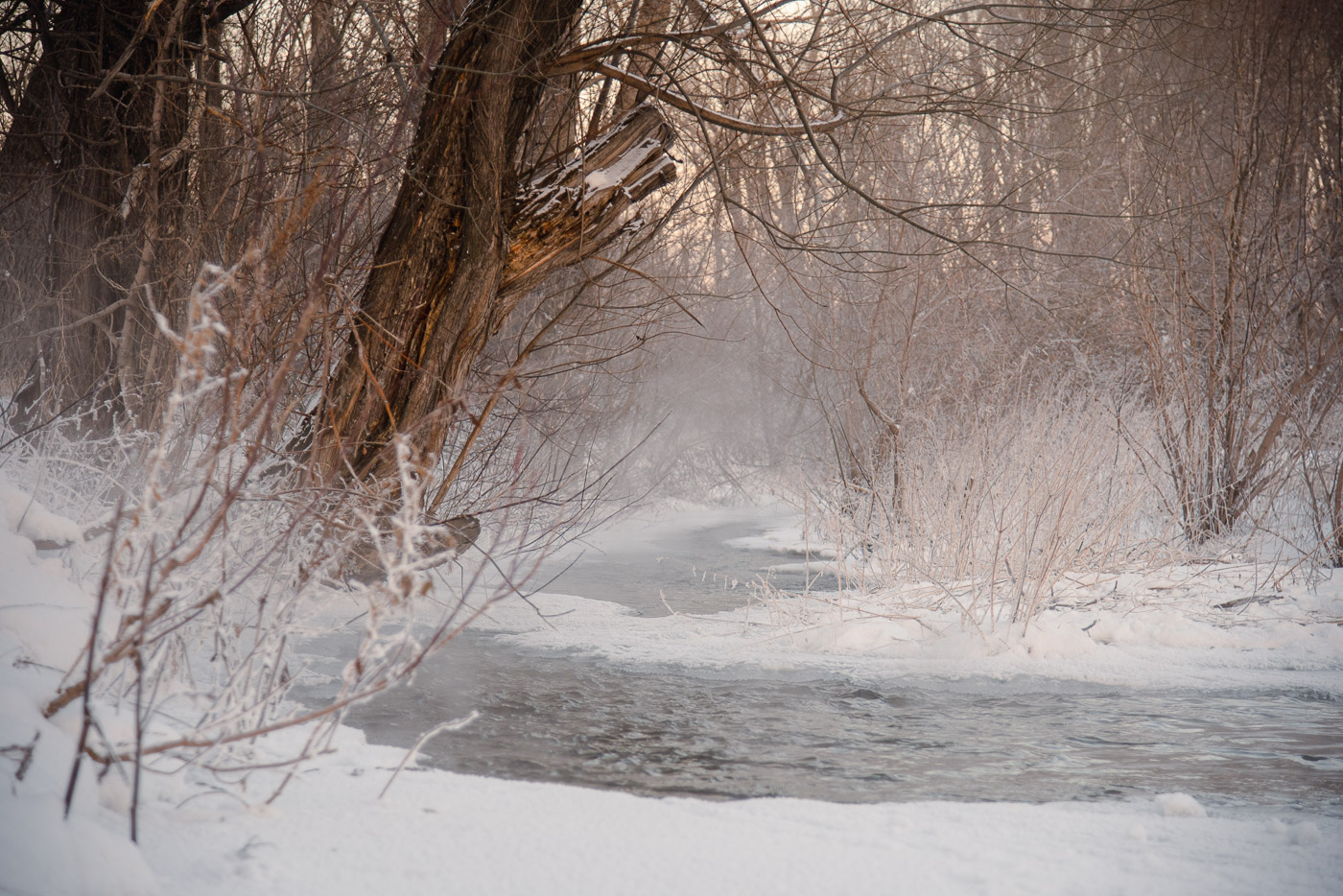 Морозное утро