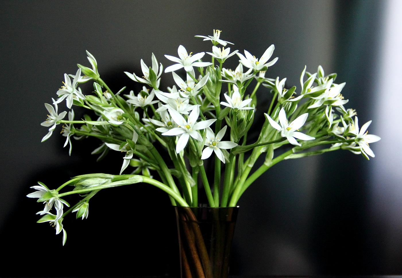 Весенний букетик