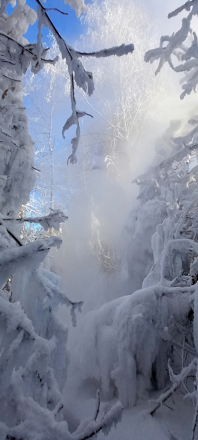 мороз и пар