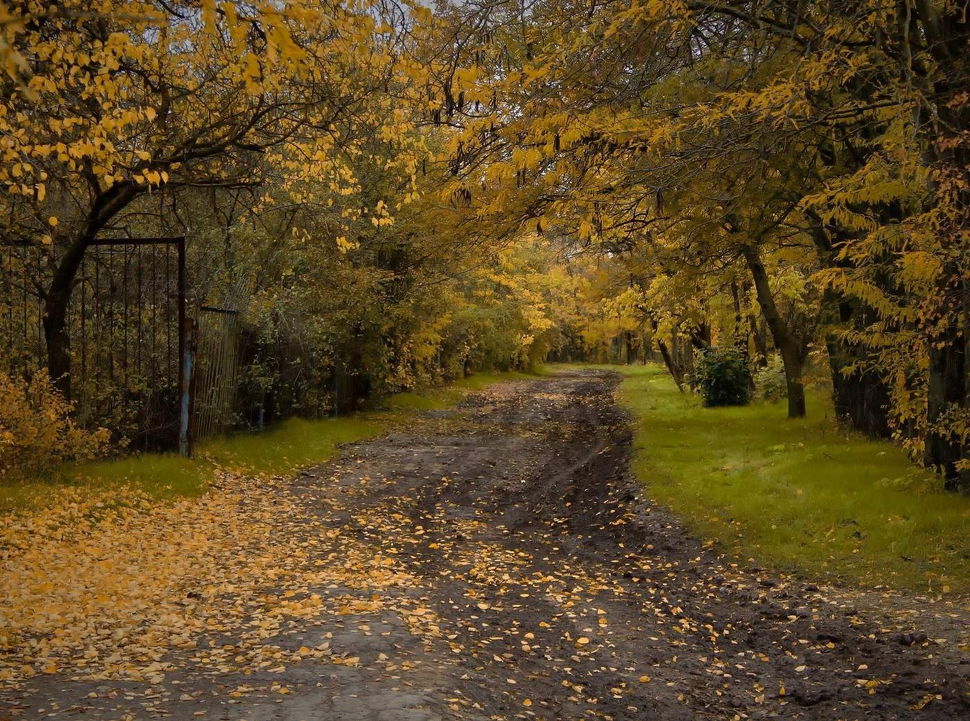 Провожая Осень