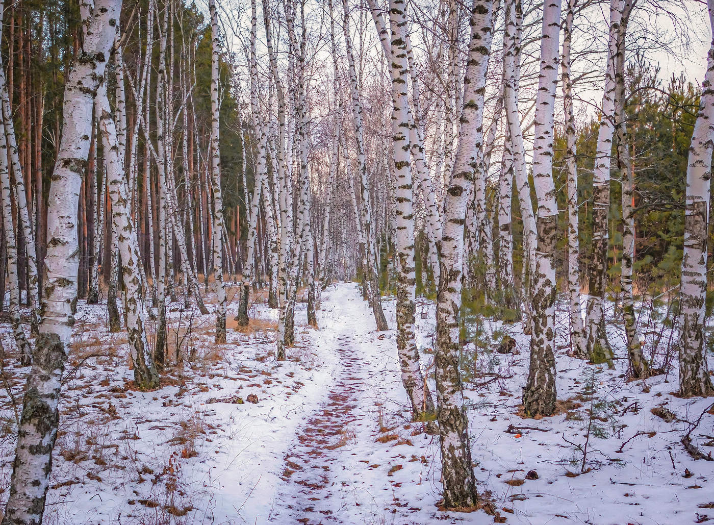 По вечерней тропинке.