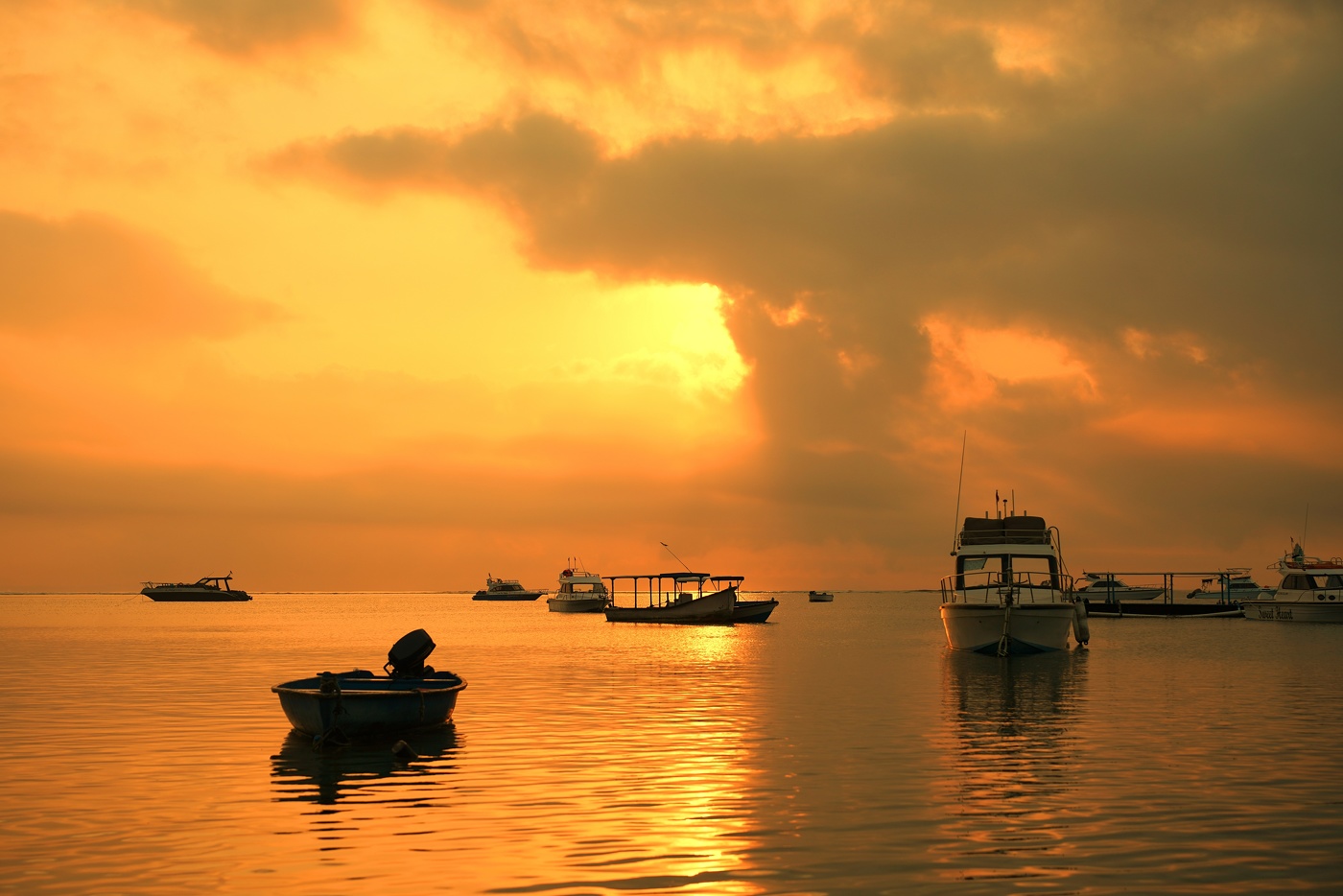 Золотое утро