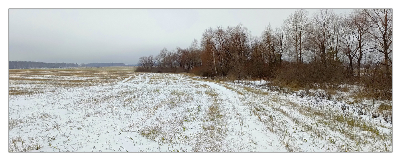 В поле предзимнем