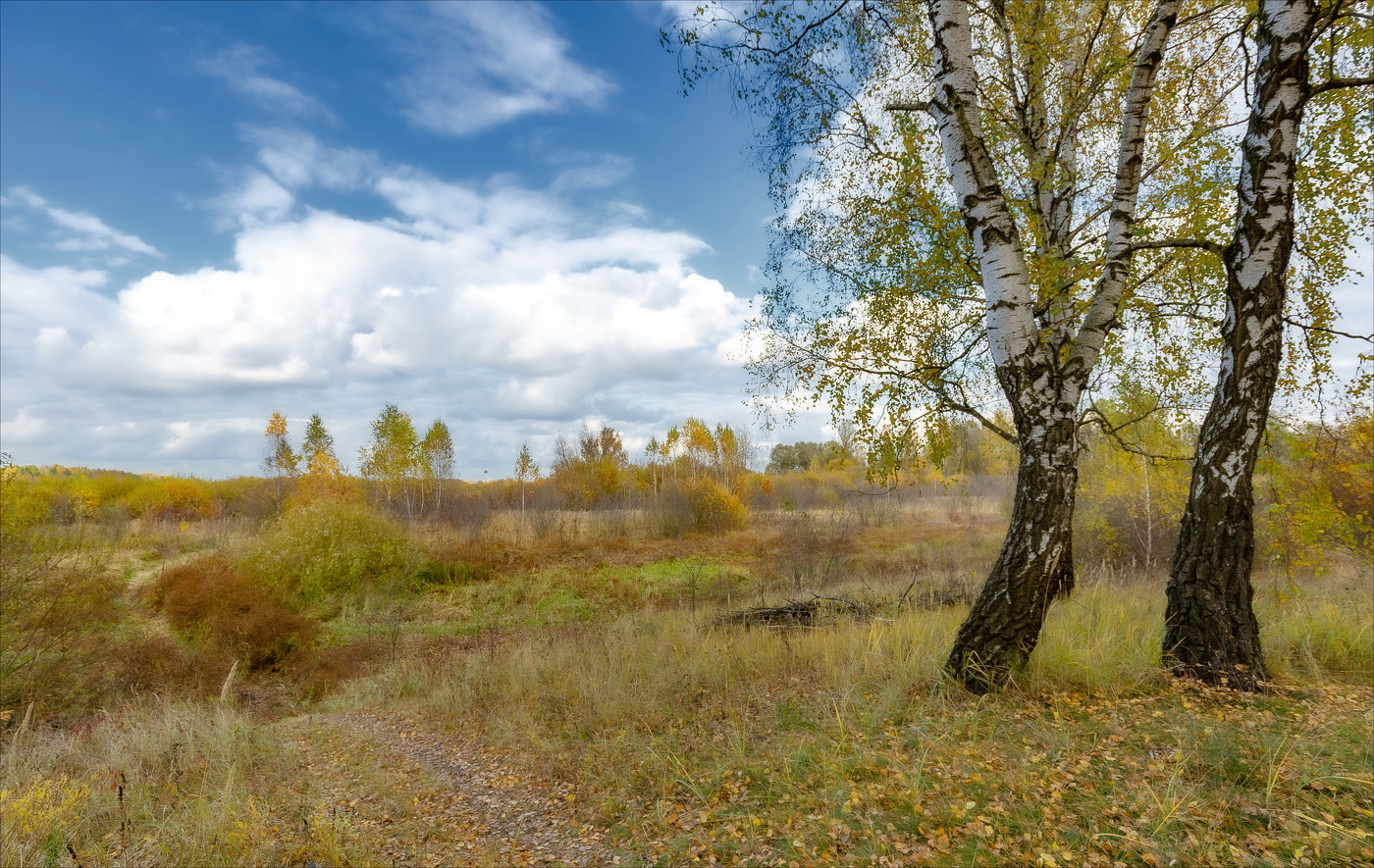 ЗАДУМЧИВАЯ ОСЕНЬ