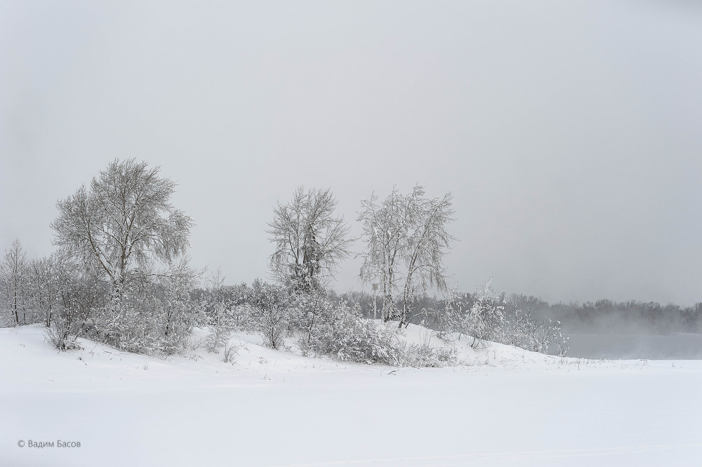 Красота зимней природы.