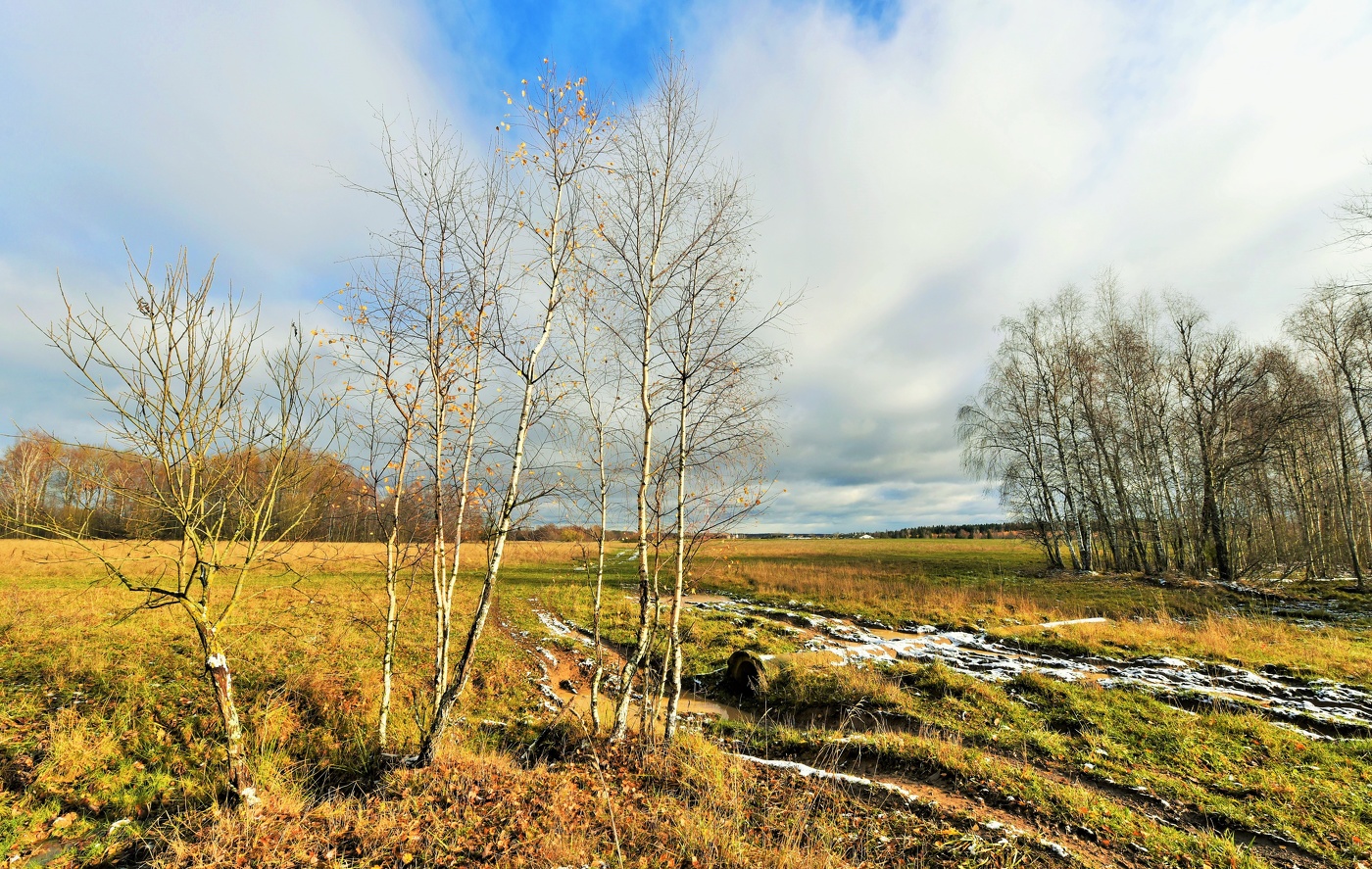 Поздняя осень ...