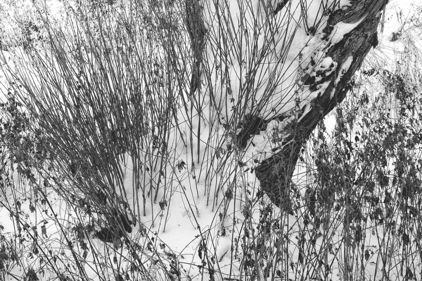 Жизнь вокруг