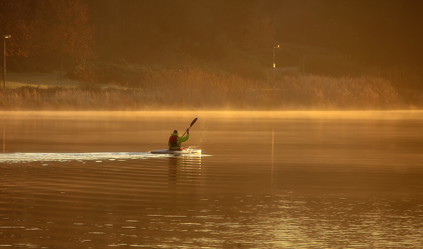 Утренний заплыв