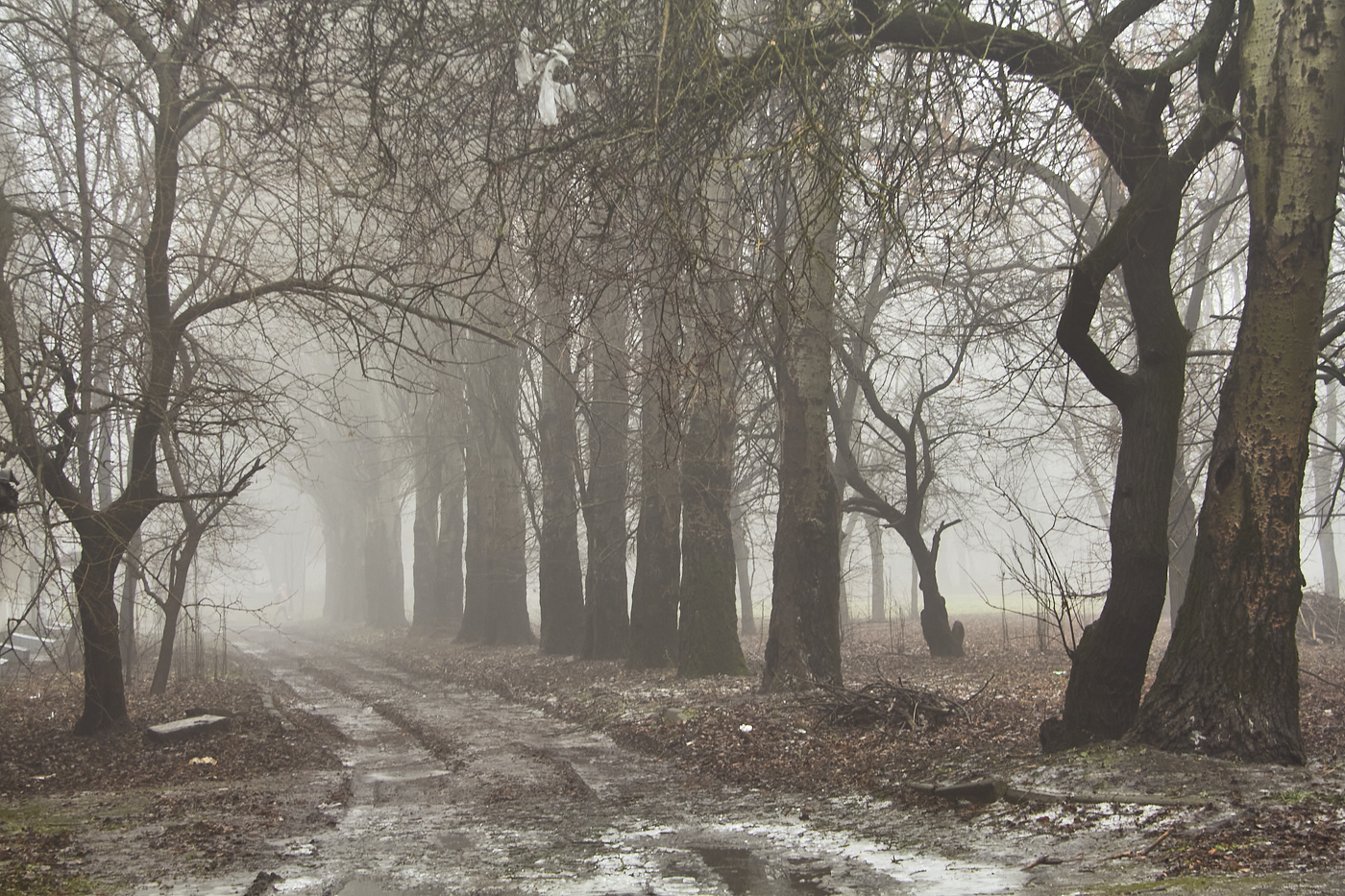 Млечный путь ...