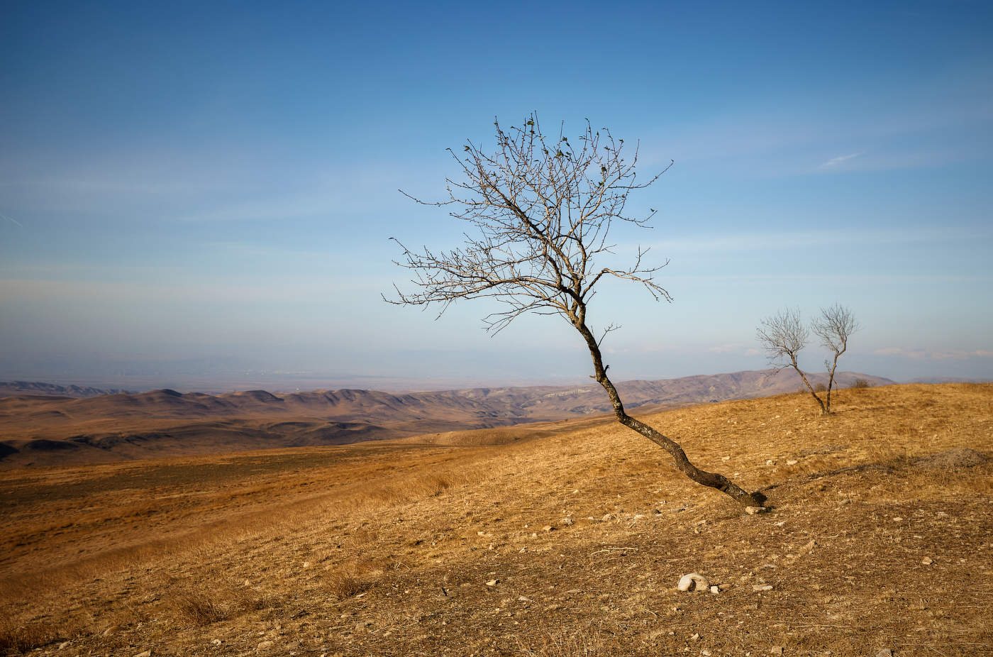 Дыхание пустыни