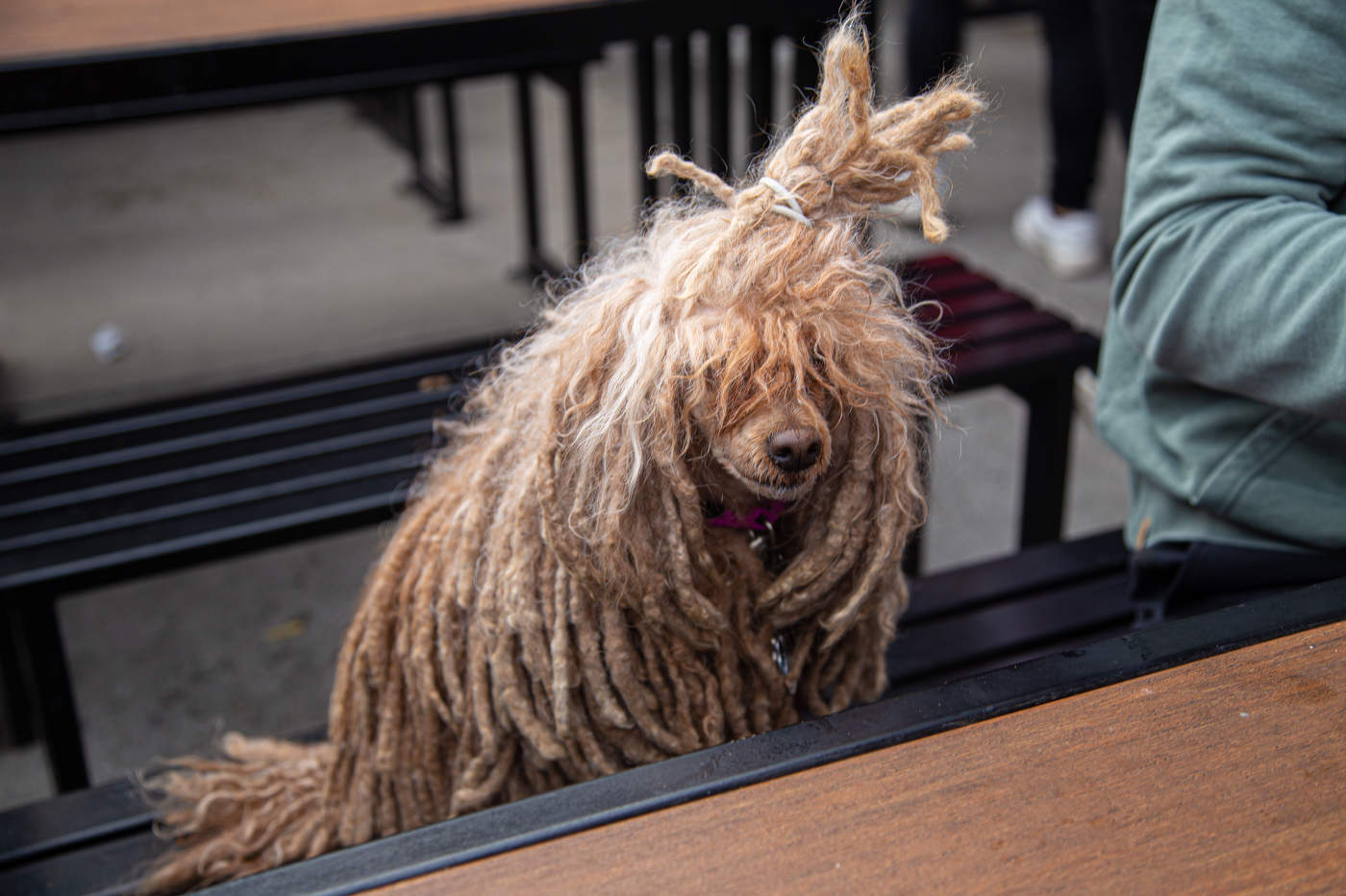 - А мне дадут что-нибудь?