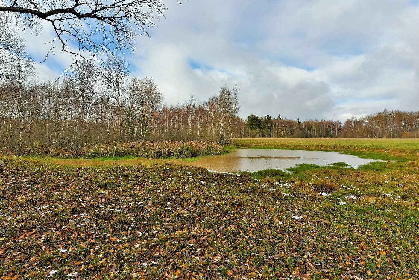 "Довольно скучная пора, стоял ноябрь уж у двора ..."