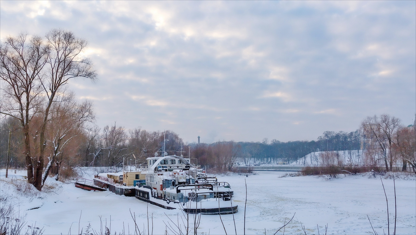 В ЗИМНЕЙ СПЯЧКЕ