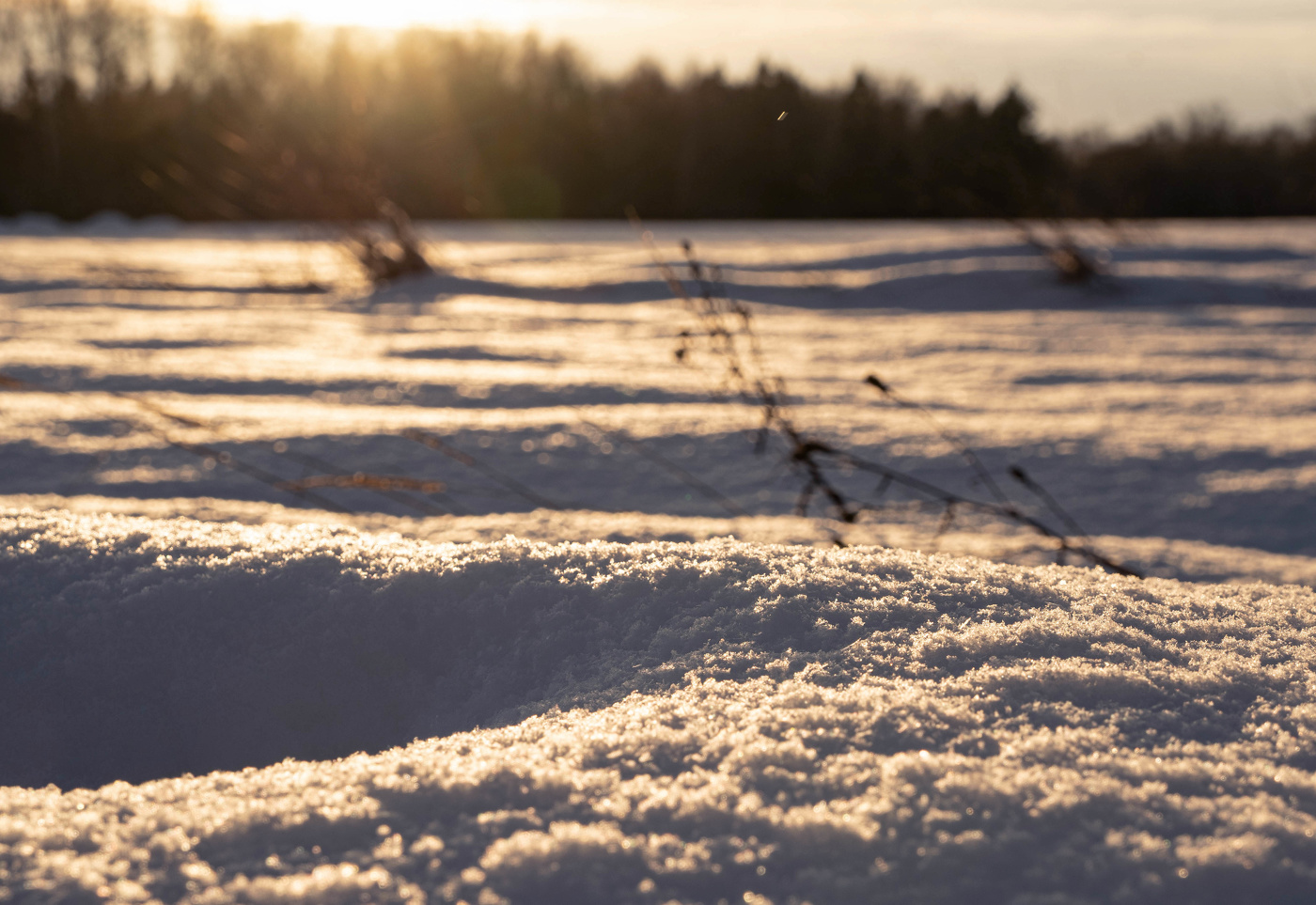 Снежное поле