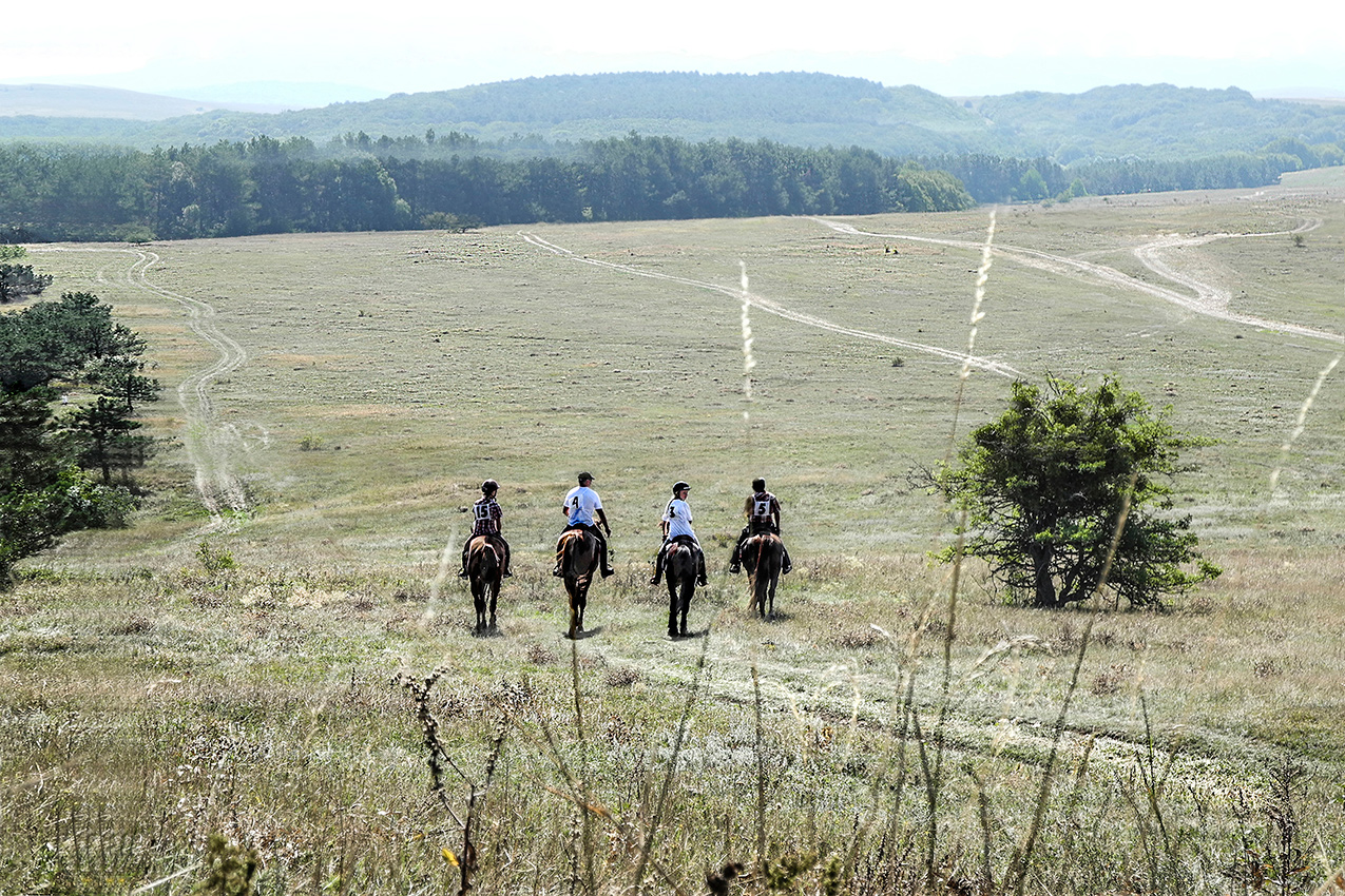 Пока, пока, покачивая...