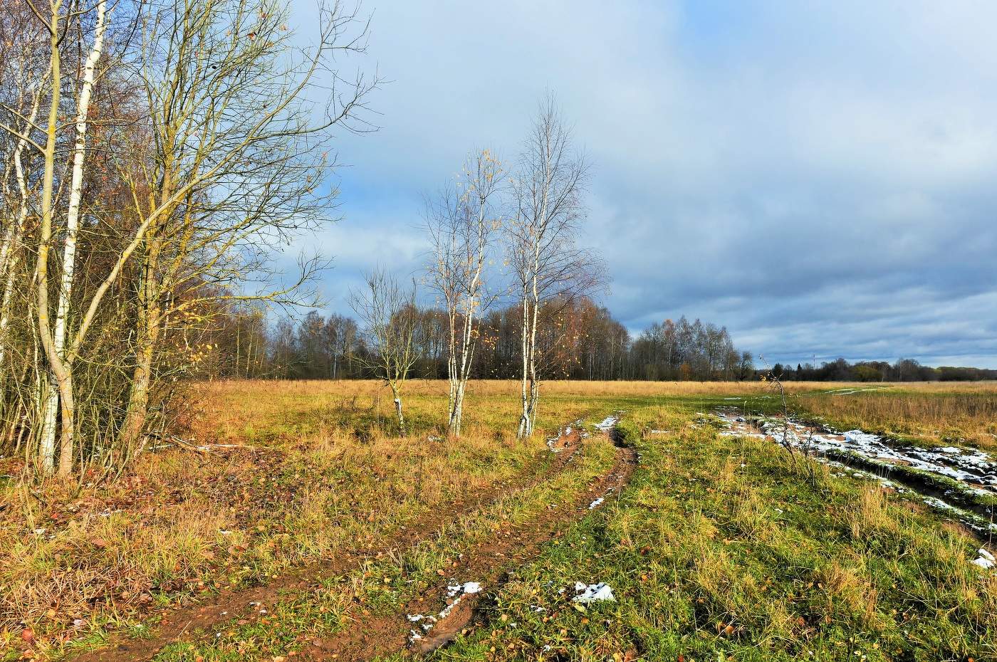 Предзимье ...