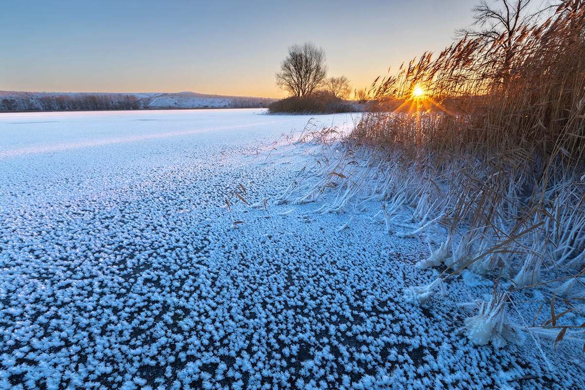 Замерзший пруд