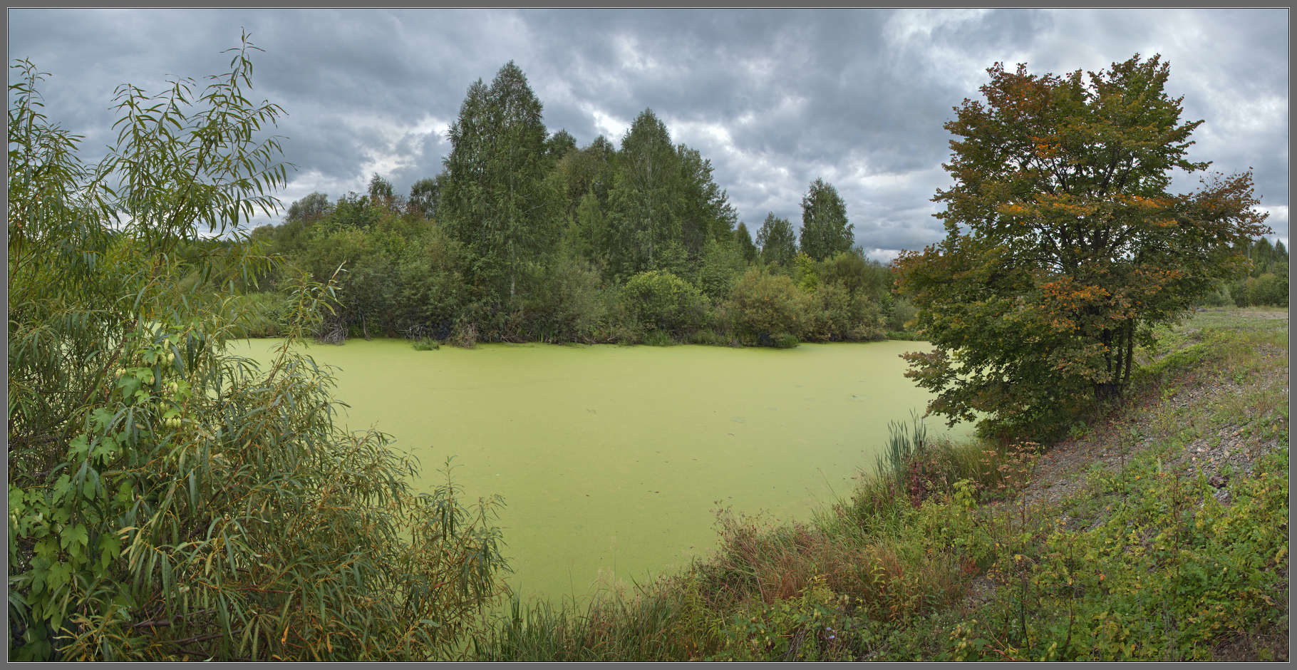 Приближалась осень