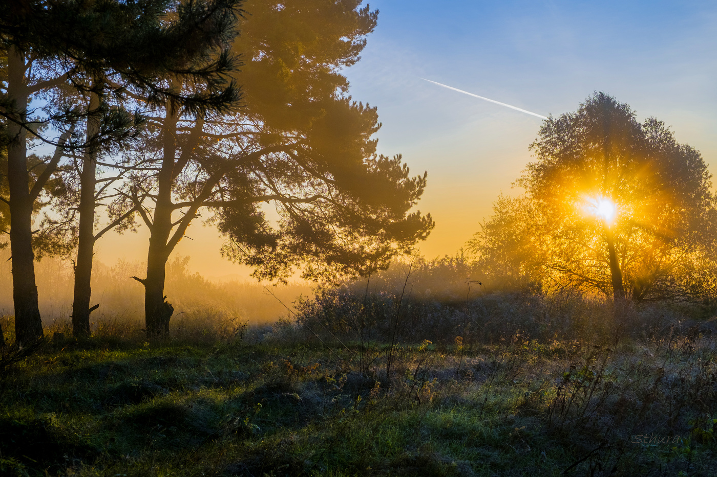 Утро в октябре.