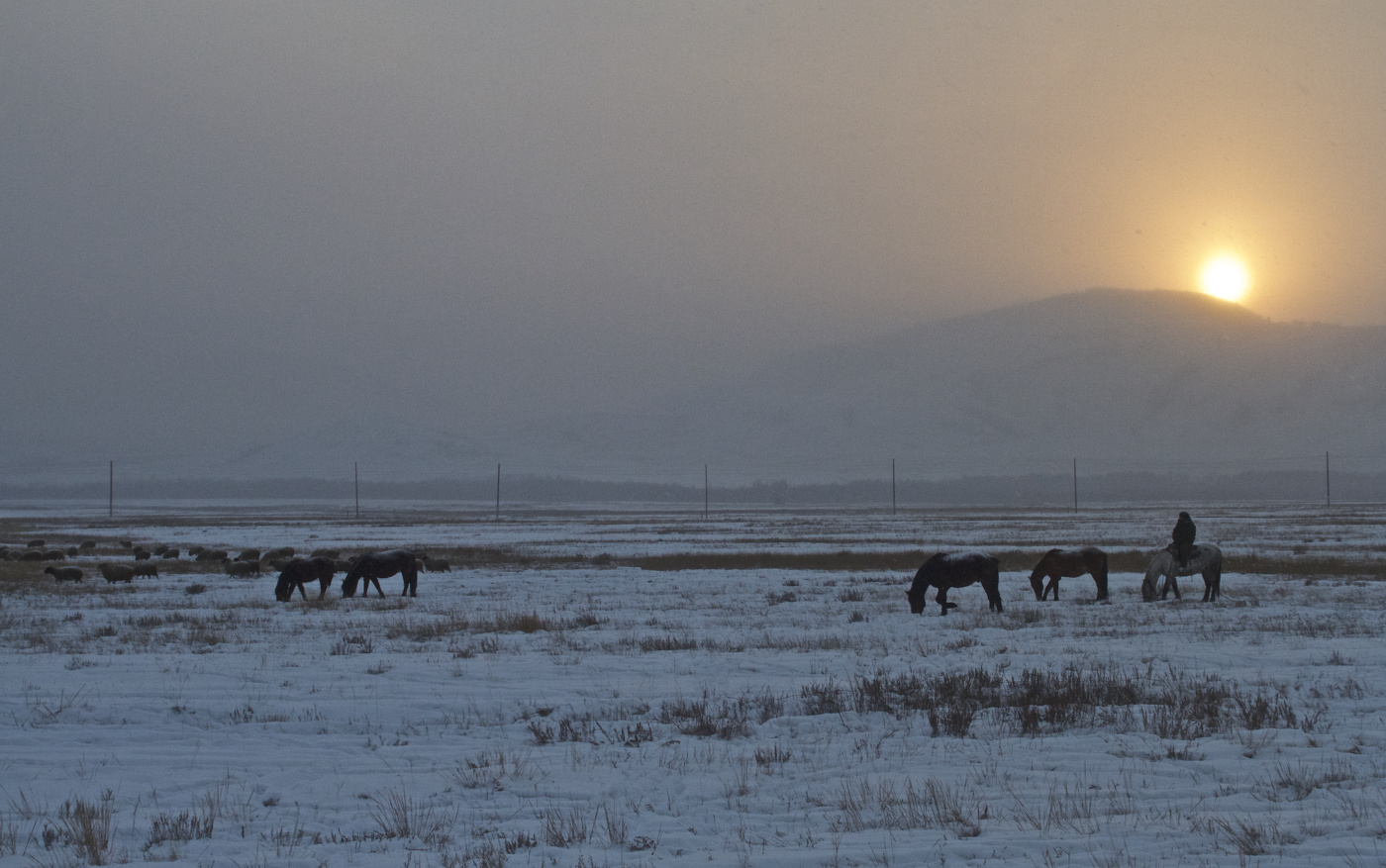 В тувинской степи. Тебенёвка