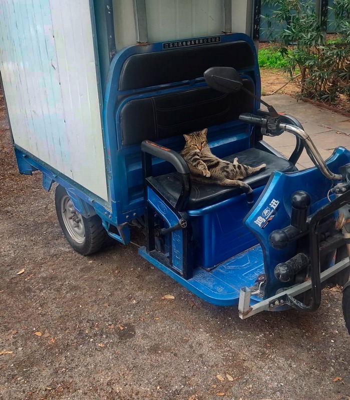 Ну что , братва , готовитесь ? А я уже наотмечался