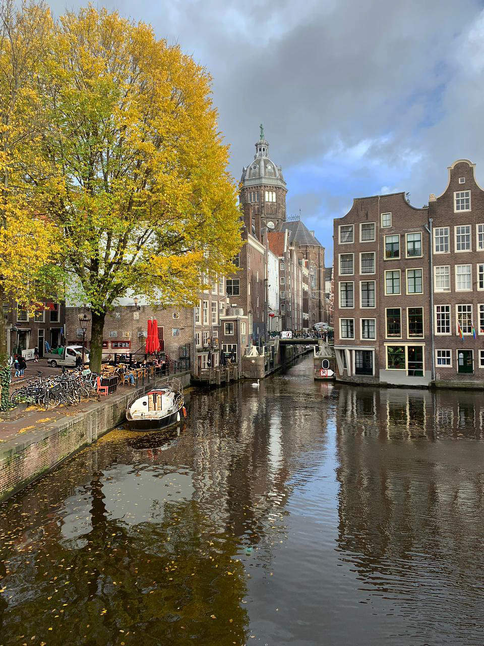 Умиротворяющая картинка с лебедем