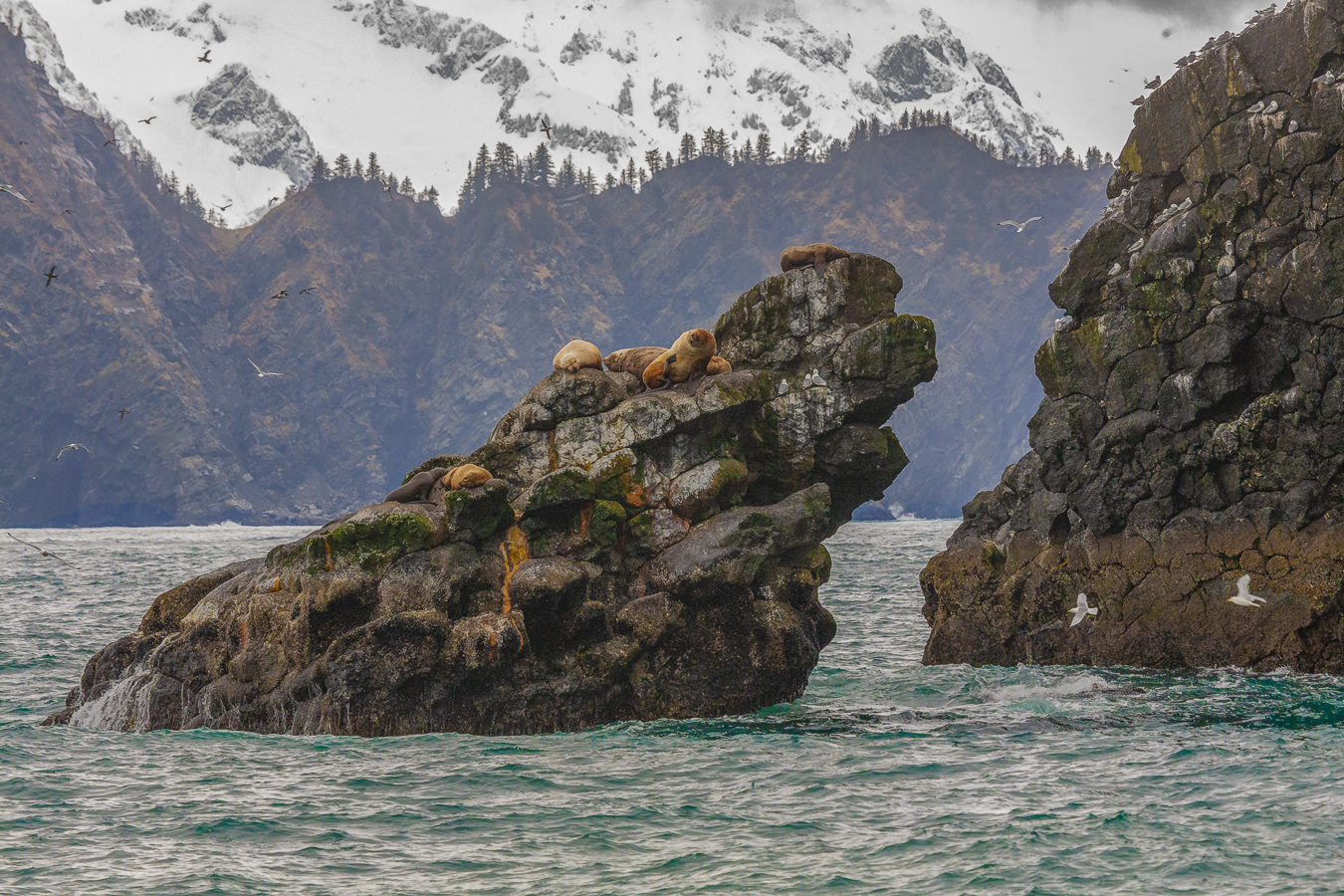 Суровый край