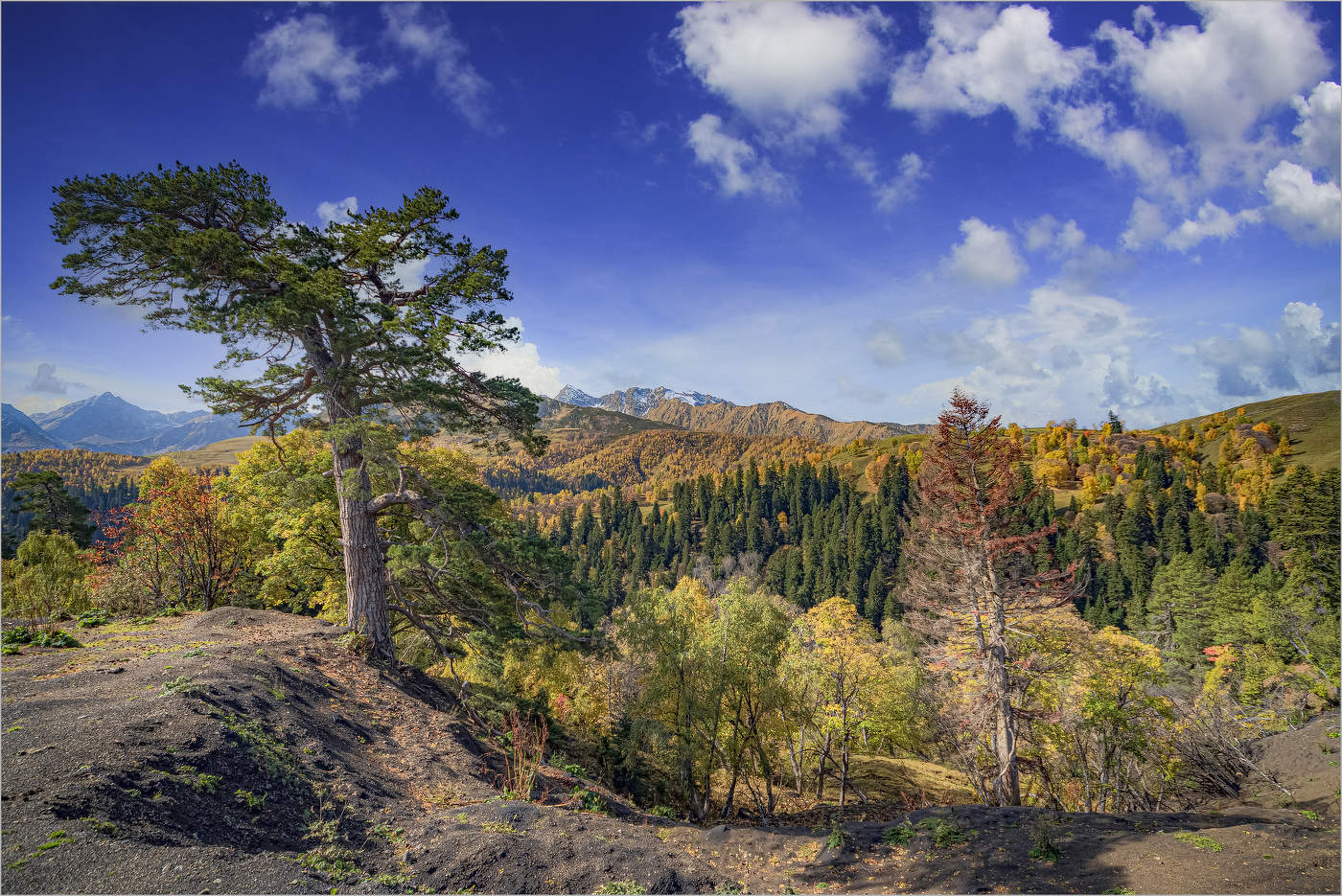 На семи ветрах