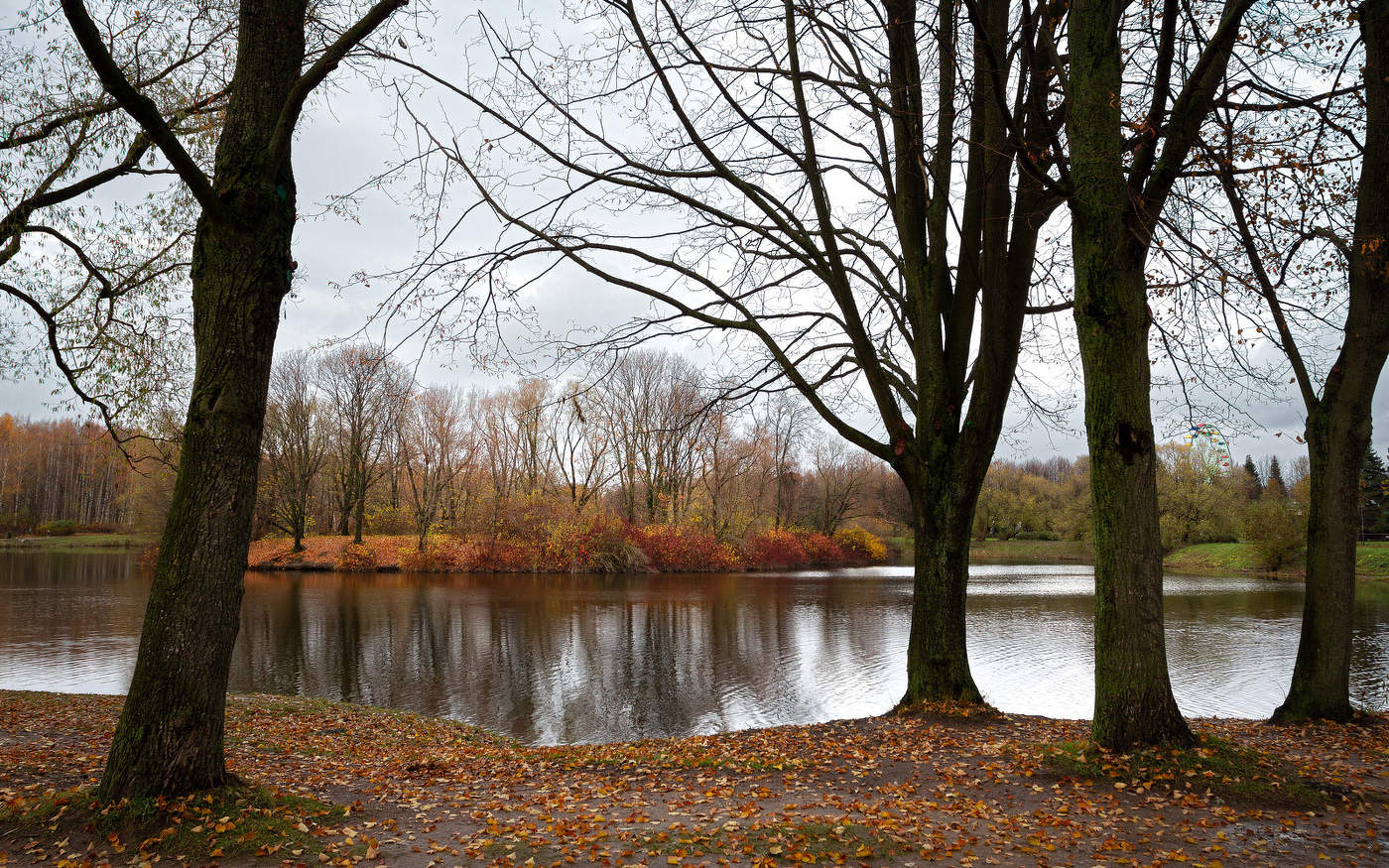 Im Herbst des Parks ...