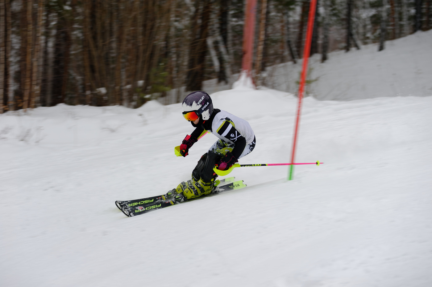 SL-slalom (слалом)