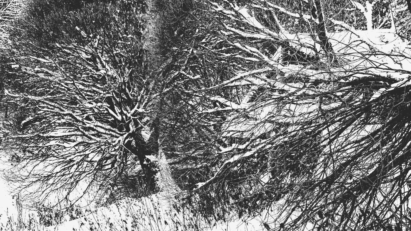 Жизнь вокруг