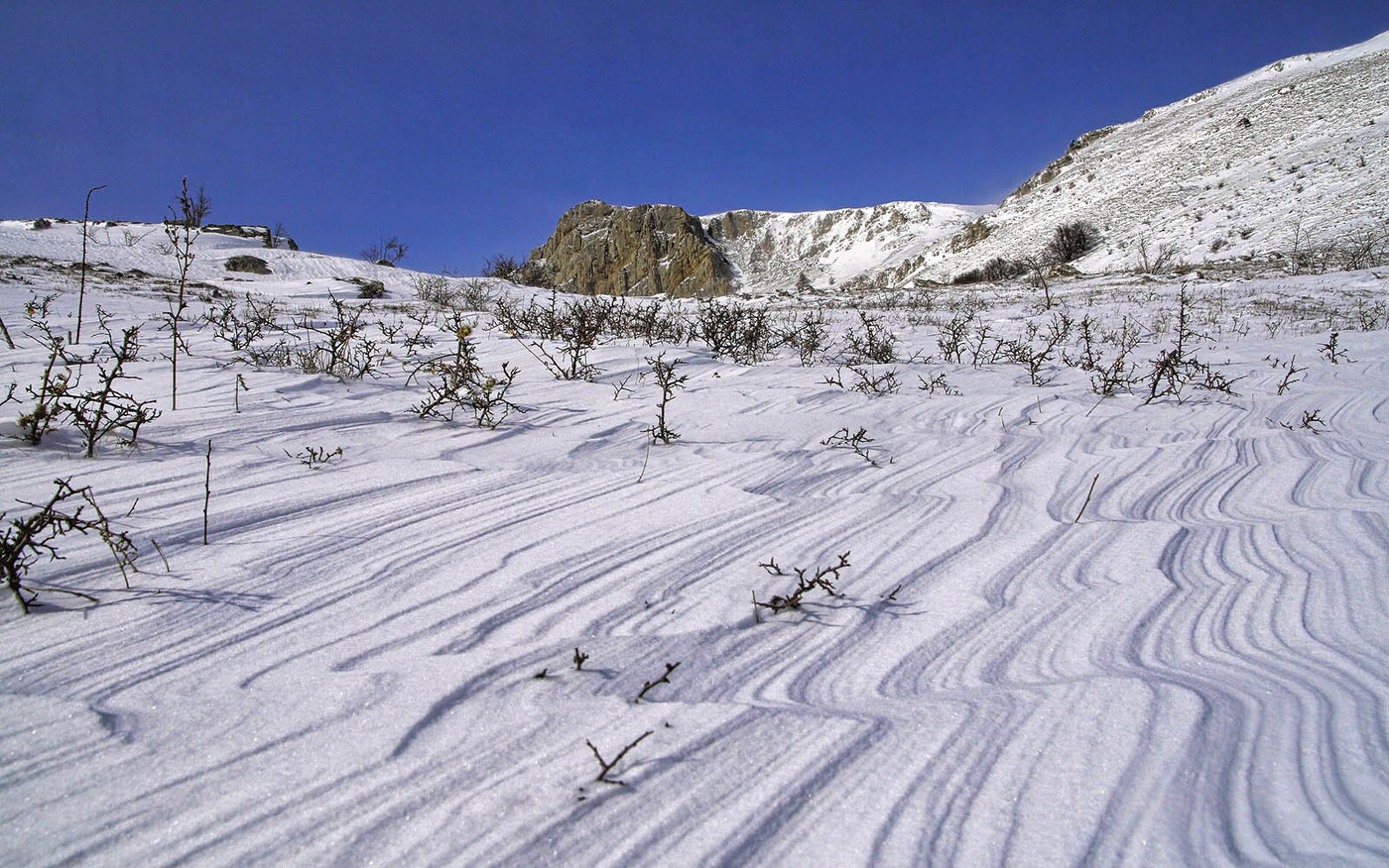 На южных склонах Чатыр-Дага