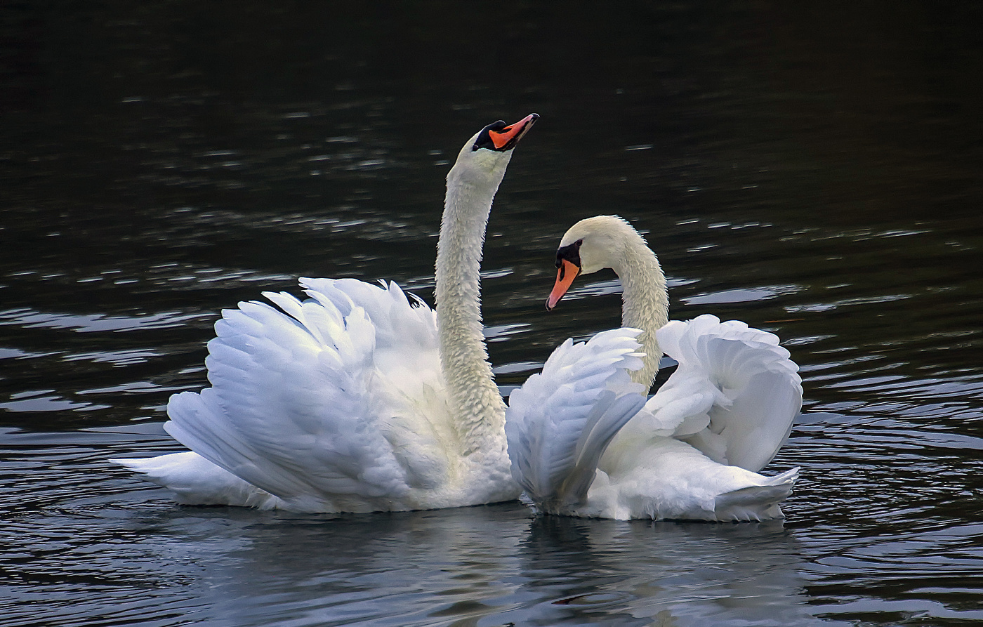 И пусть весь мир подождёт !