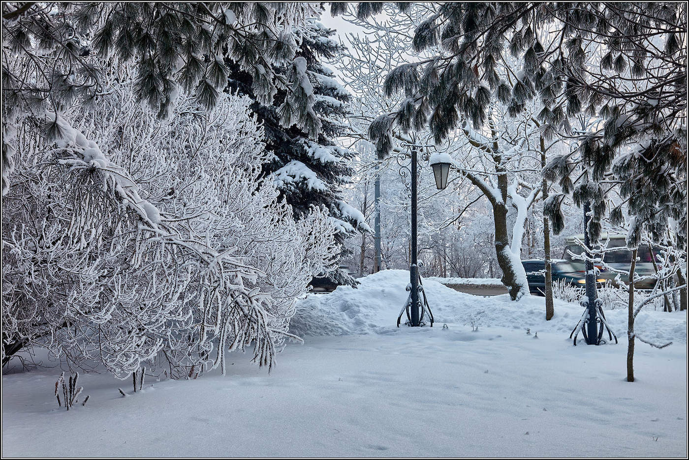 Графика зимы.