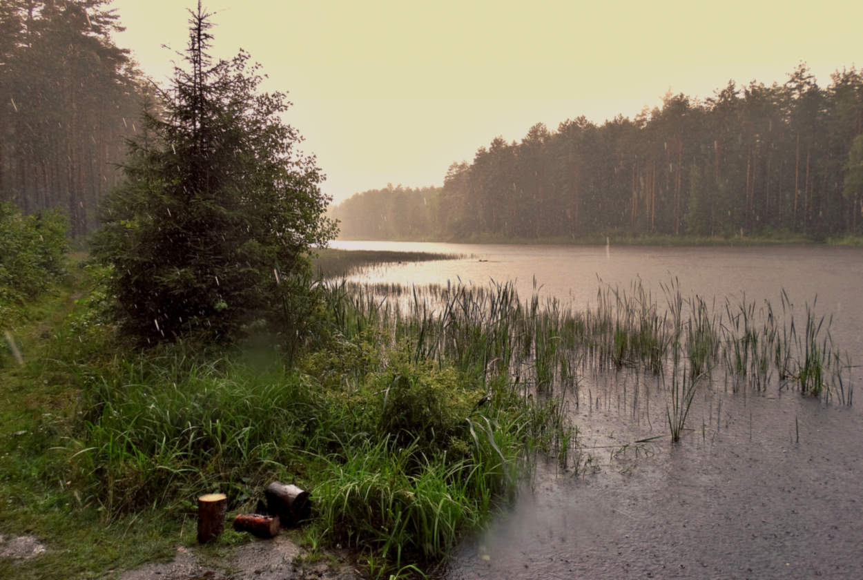 Летний дождь в тумане