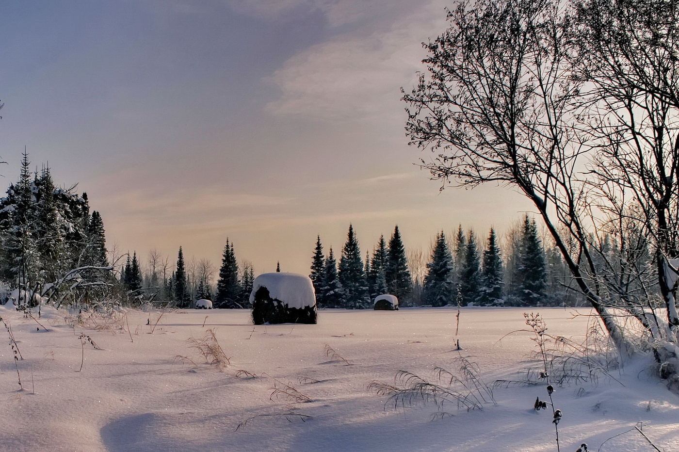 Декабрьским днём.