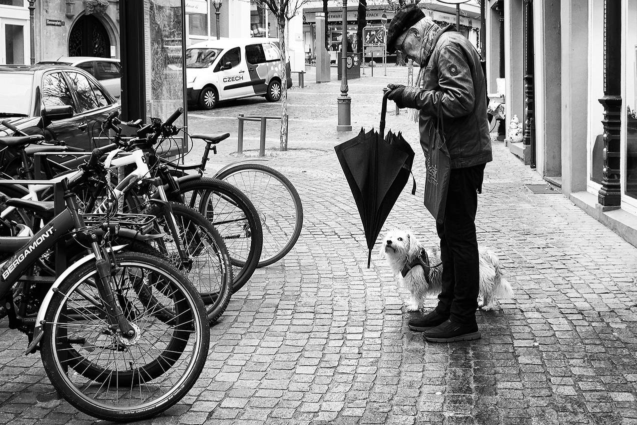 Утренние разногласия