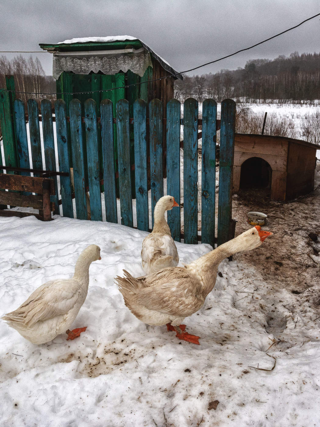 Жизнь вокруг