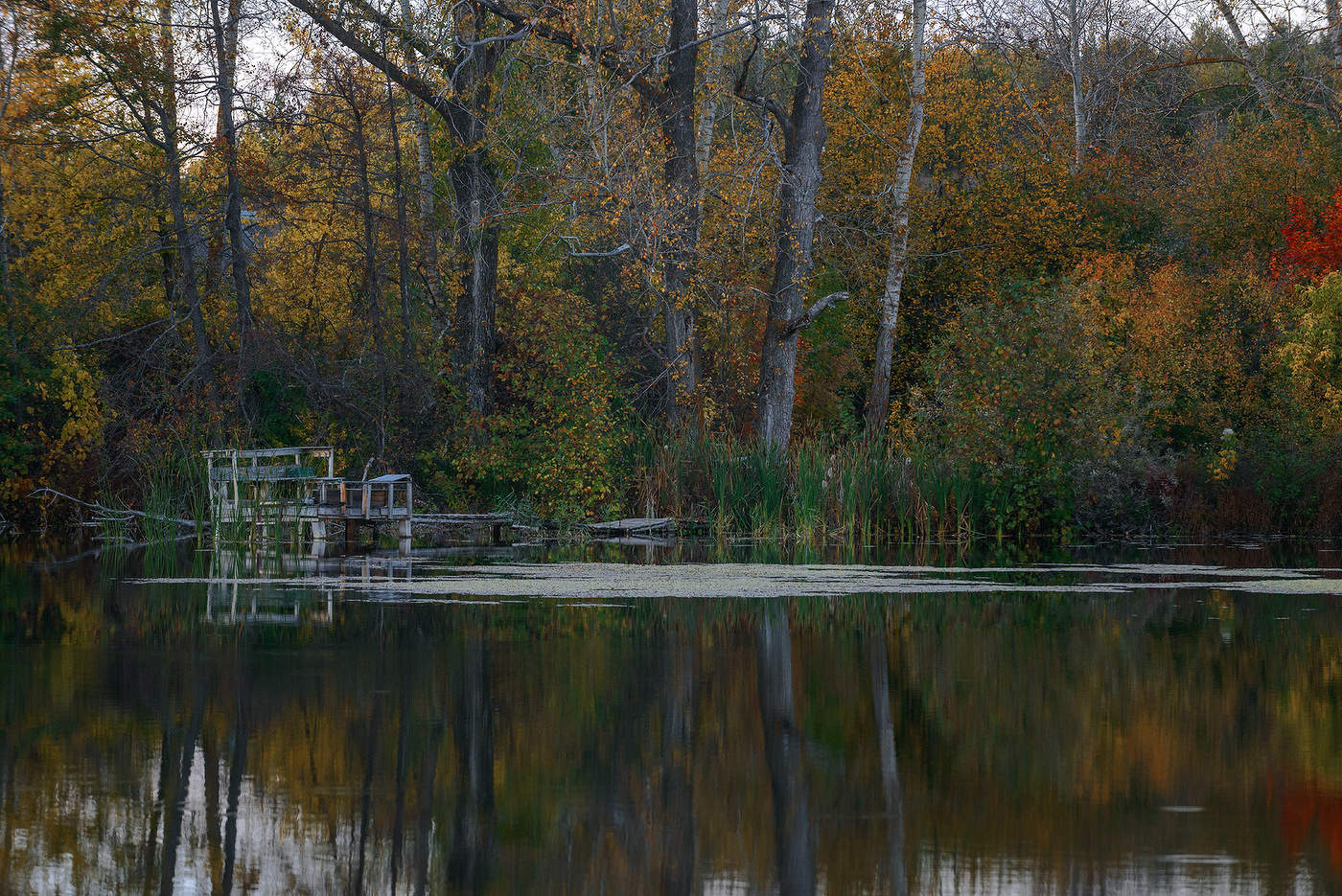 Отражение...