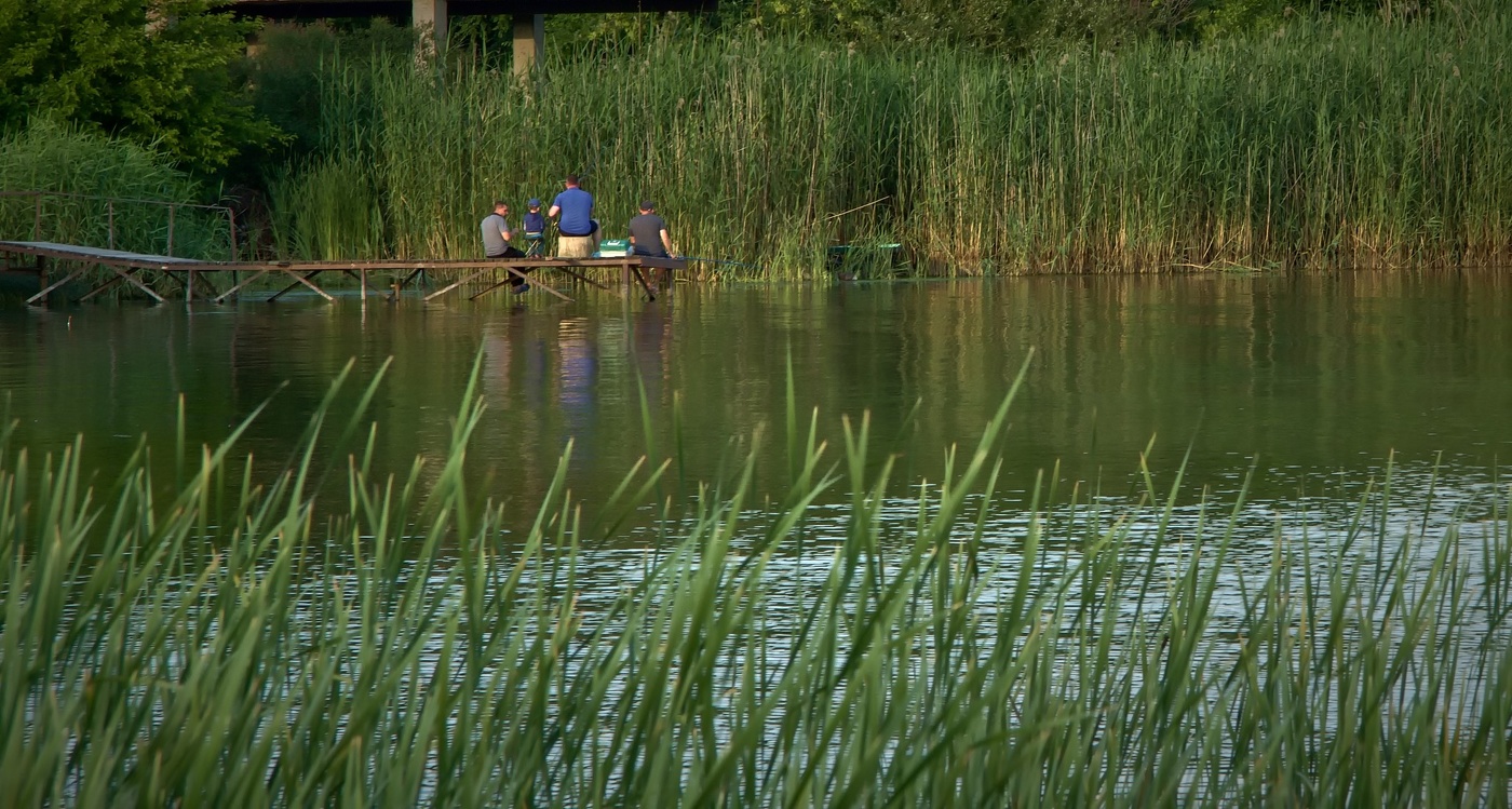 Искусство рыбалки