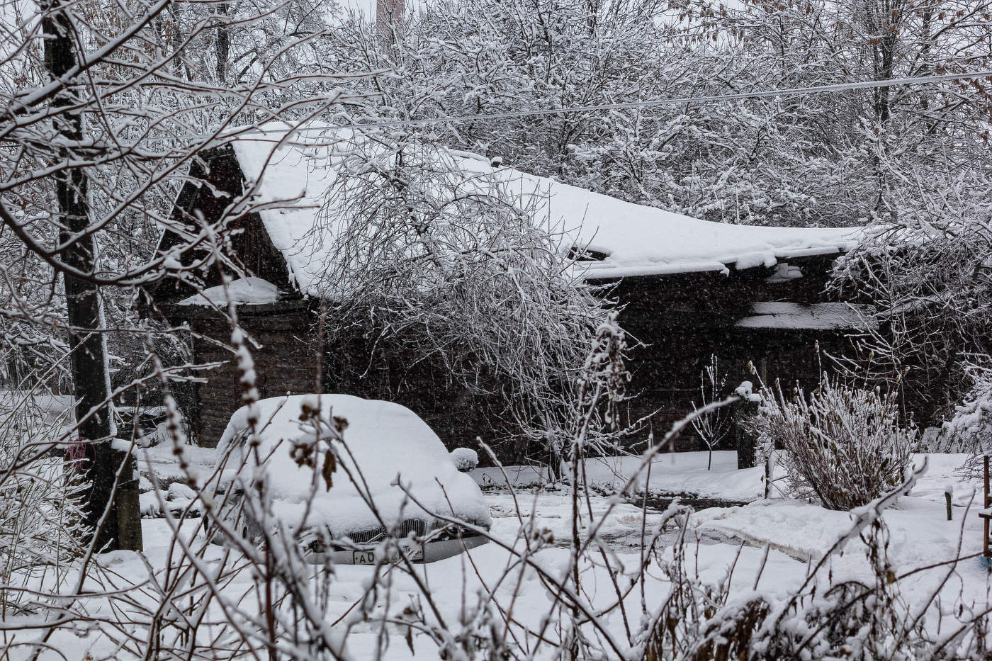 И падал снег...