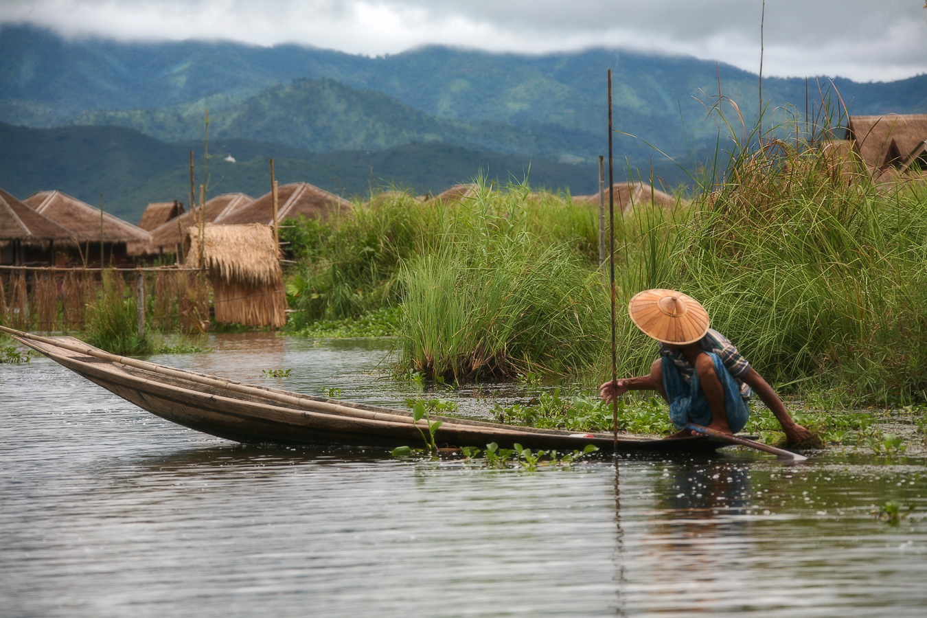 влажность 100 %