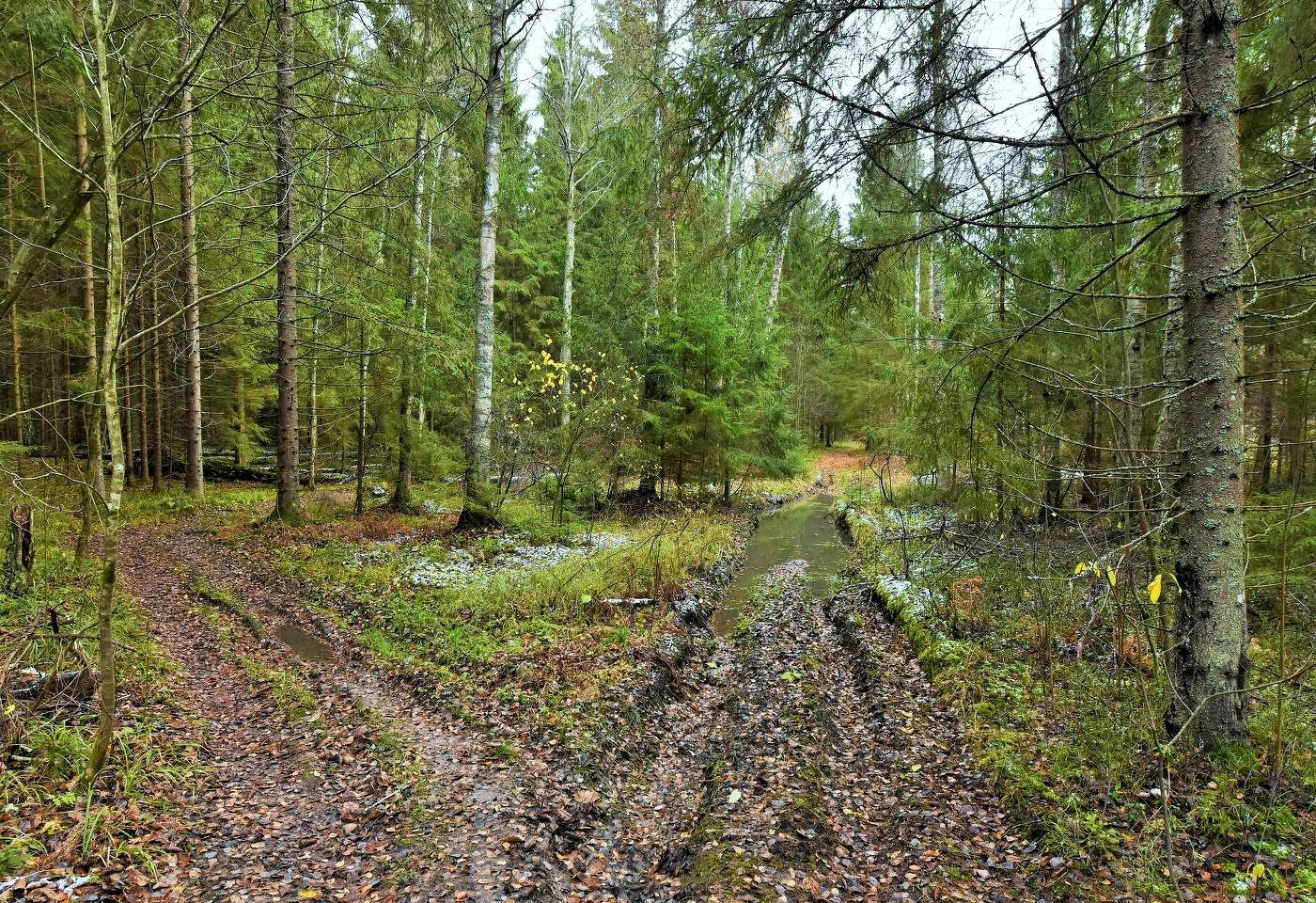 Дороги осенние ...