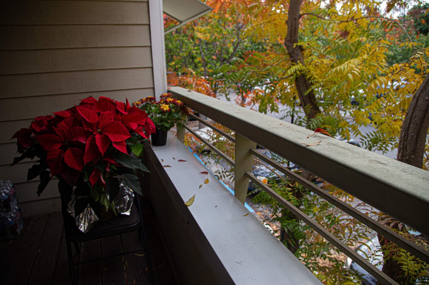 У нас Рождество!