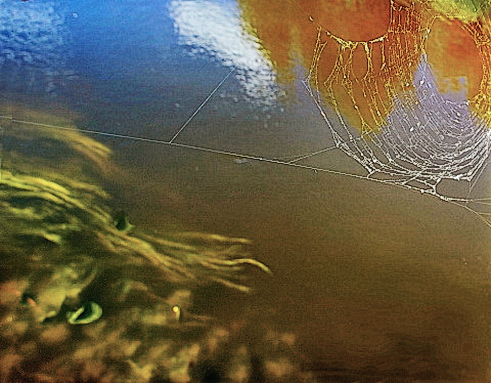 Водяной и паутина.