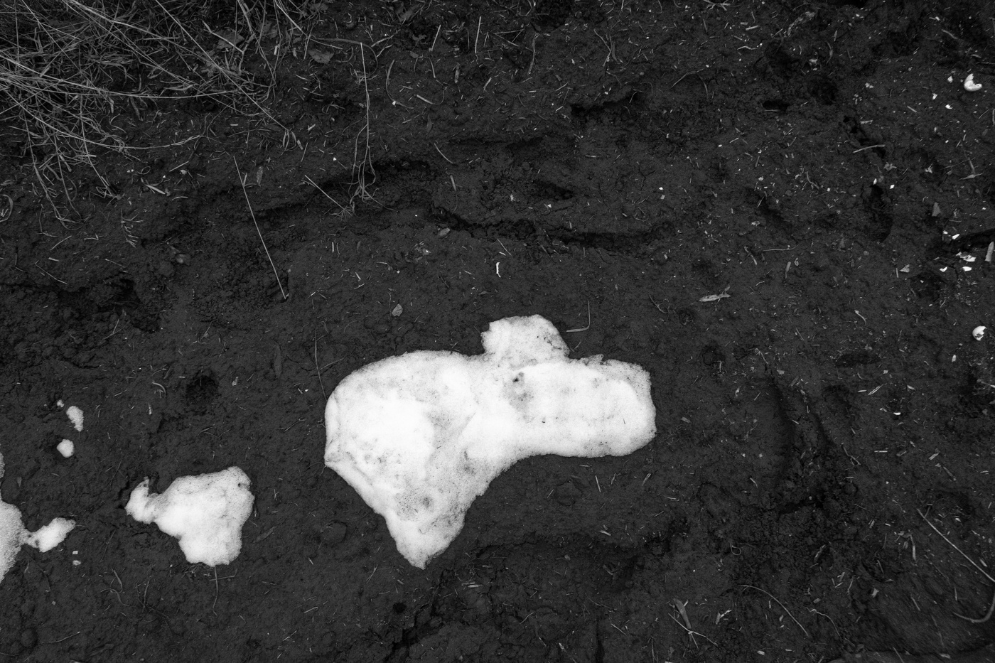 Жизнь вокруг