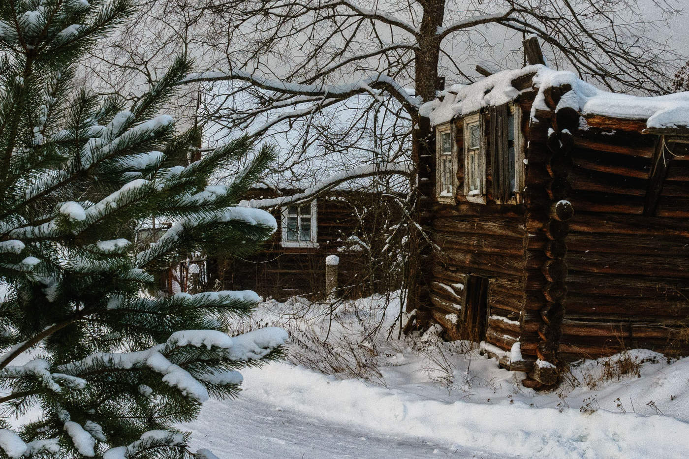 Жизнь вокруг