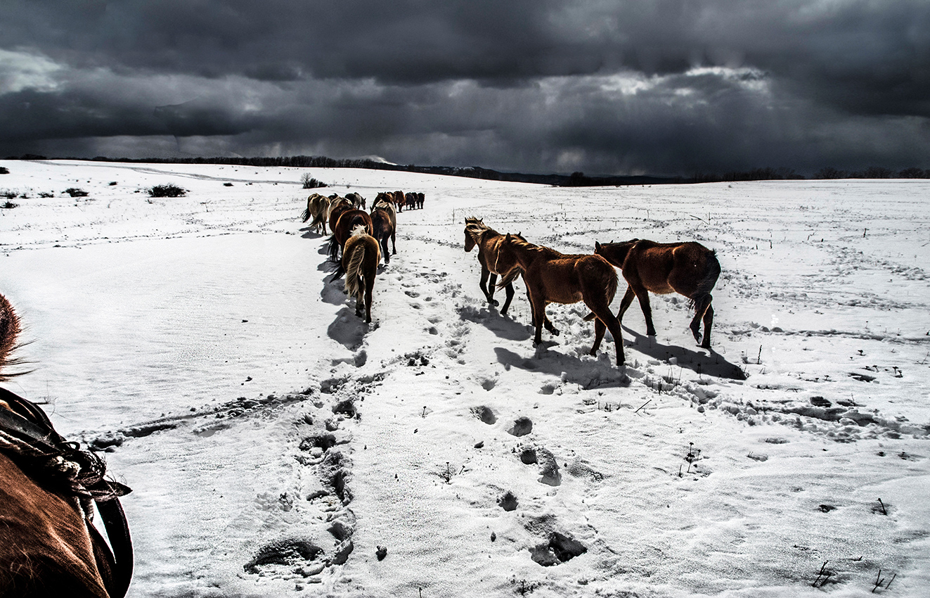 Зимний прогон