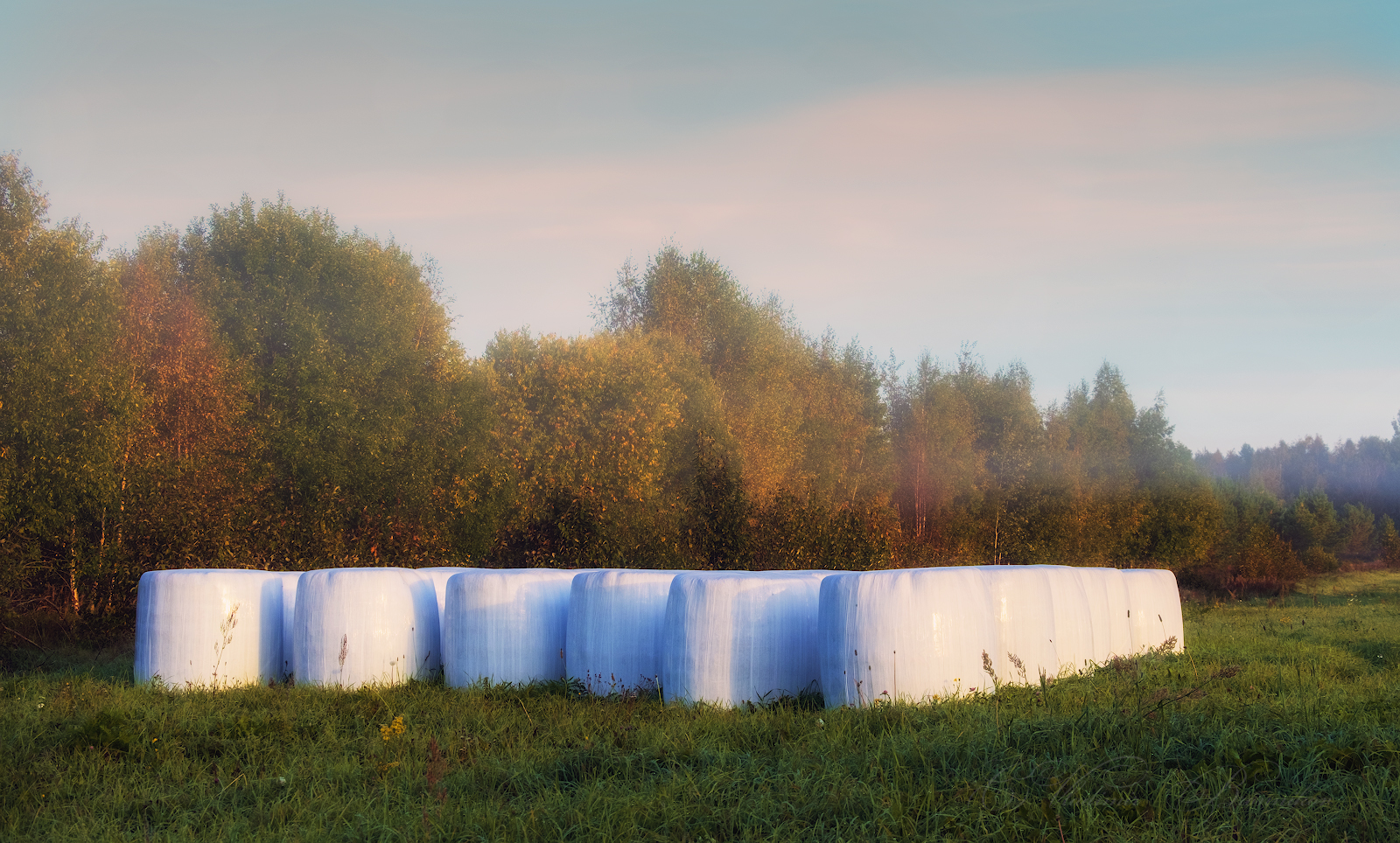 Заготовка на зиму