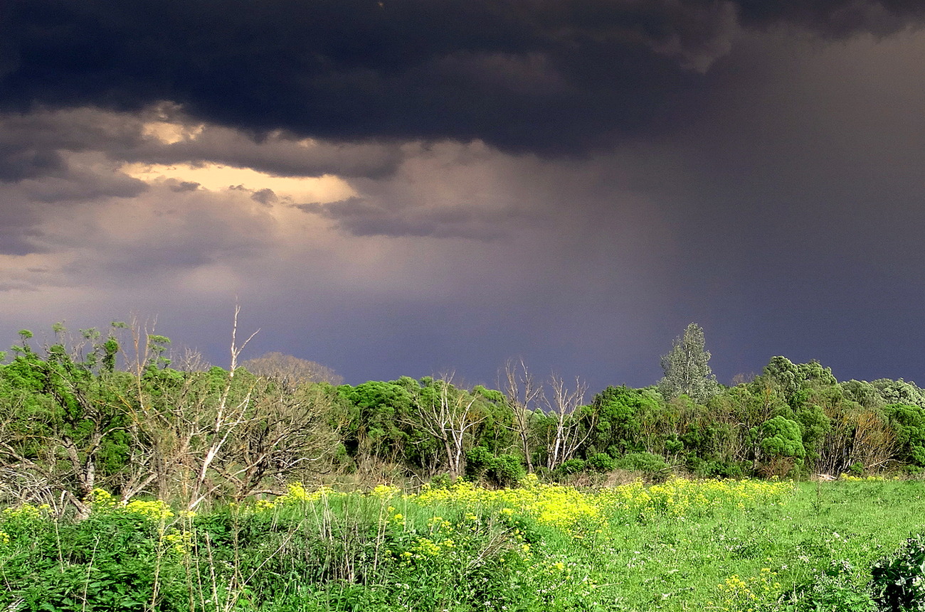 Буря, скоро грянет буря